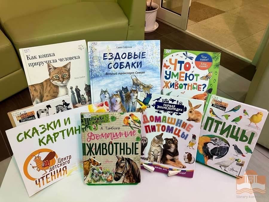 Книги из фонда Национальной библиотеки Карелии