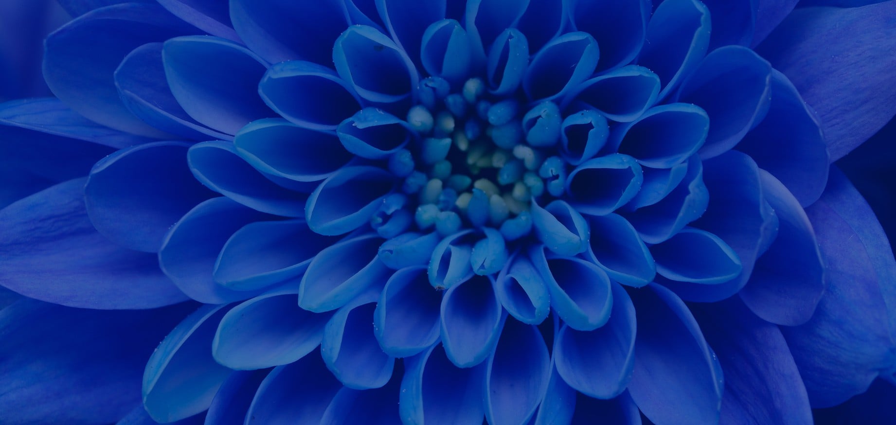 sample-2